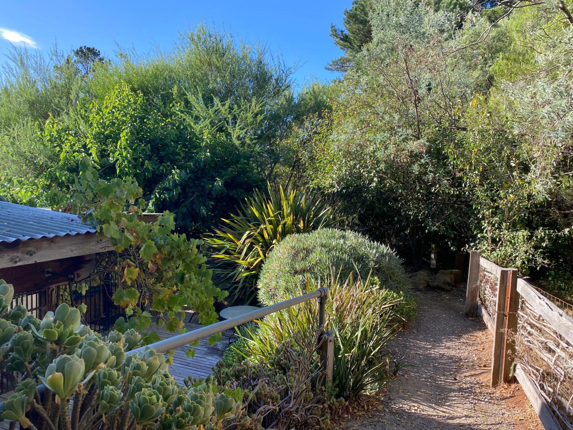 Sutton Spring Art Retreats Appartement Daylesford Buitenkant foto