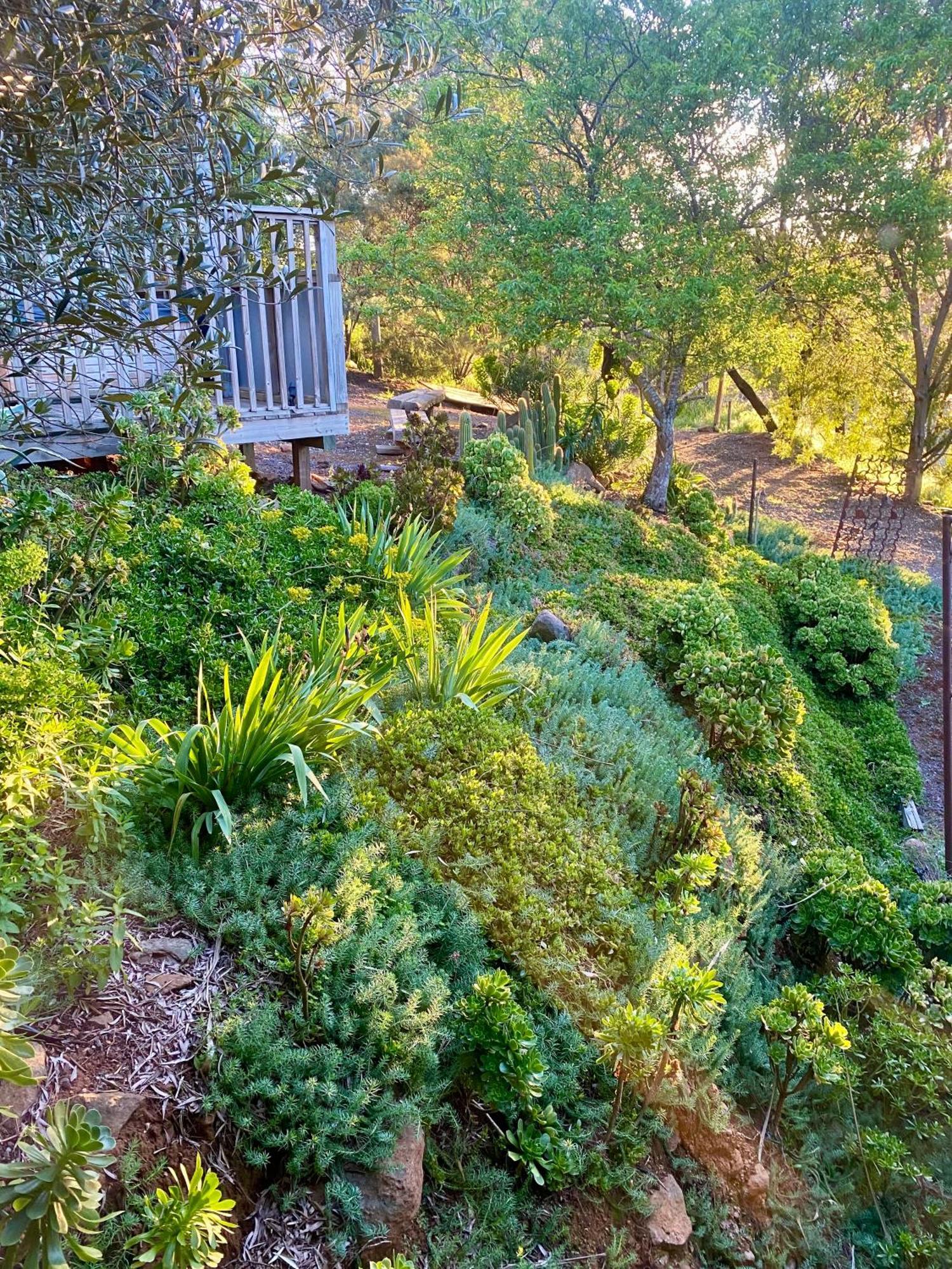 Sutton Spring Art Retreats Appartement Daylesford Kamer foto