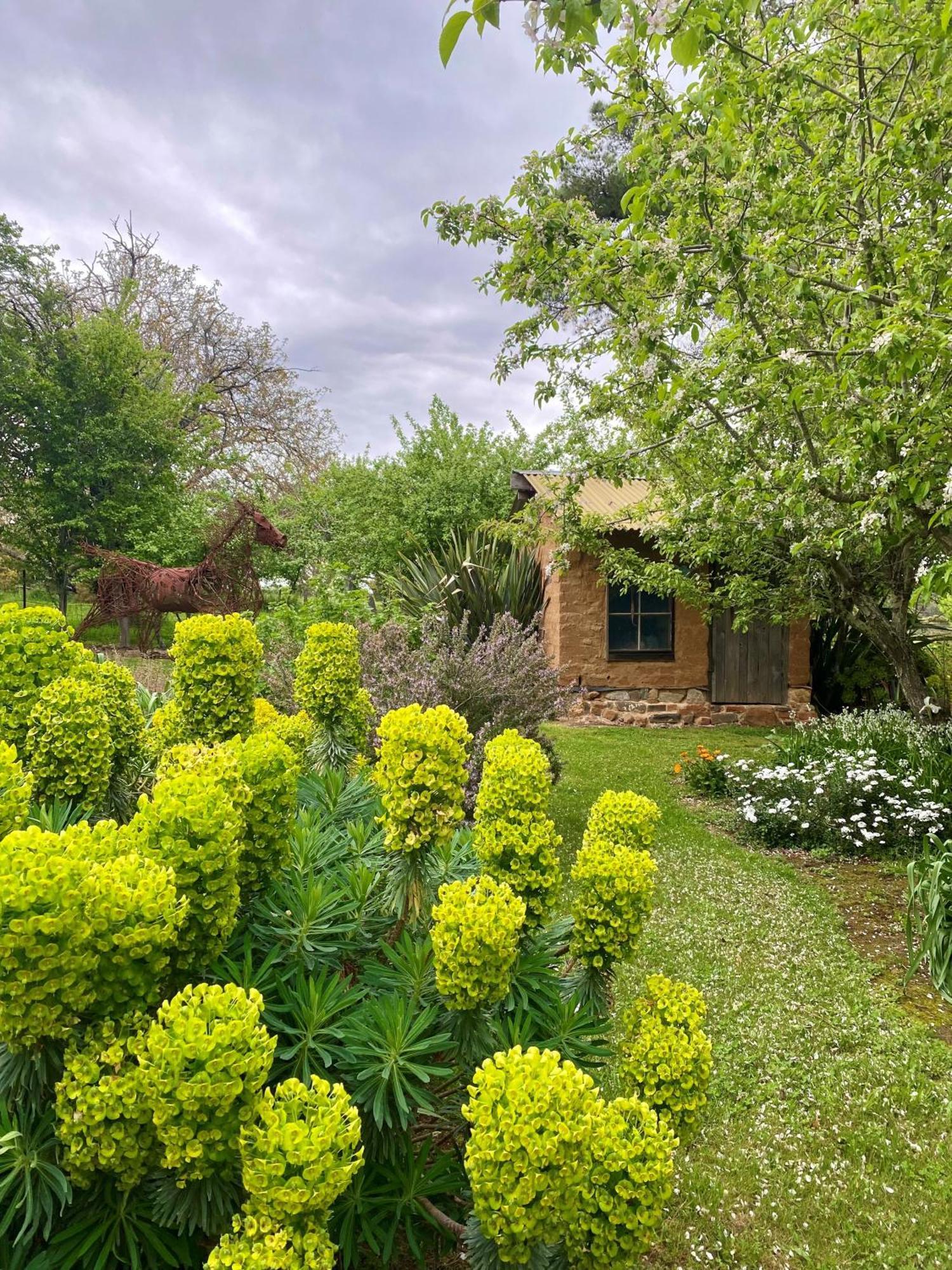 Sutton Spring Art Retreats Appartement Daylesford Buitenkant foto