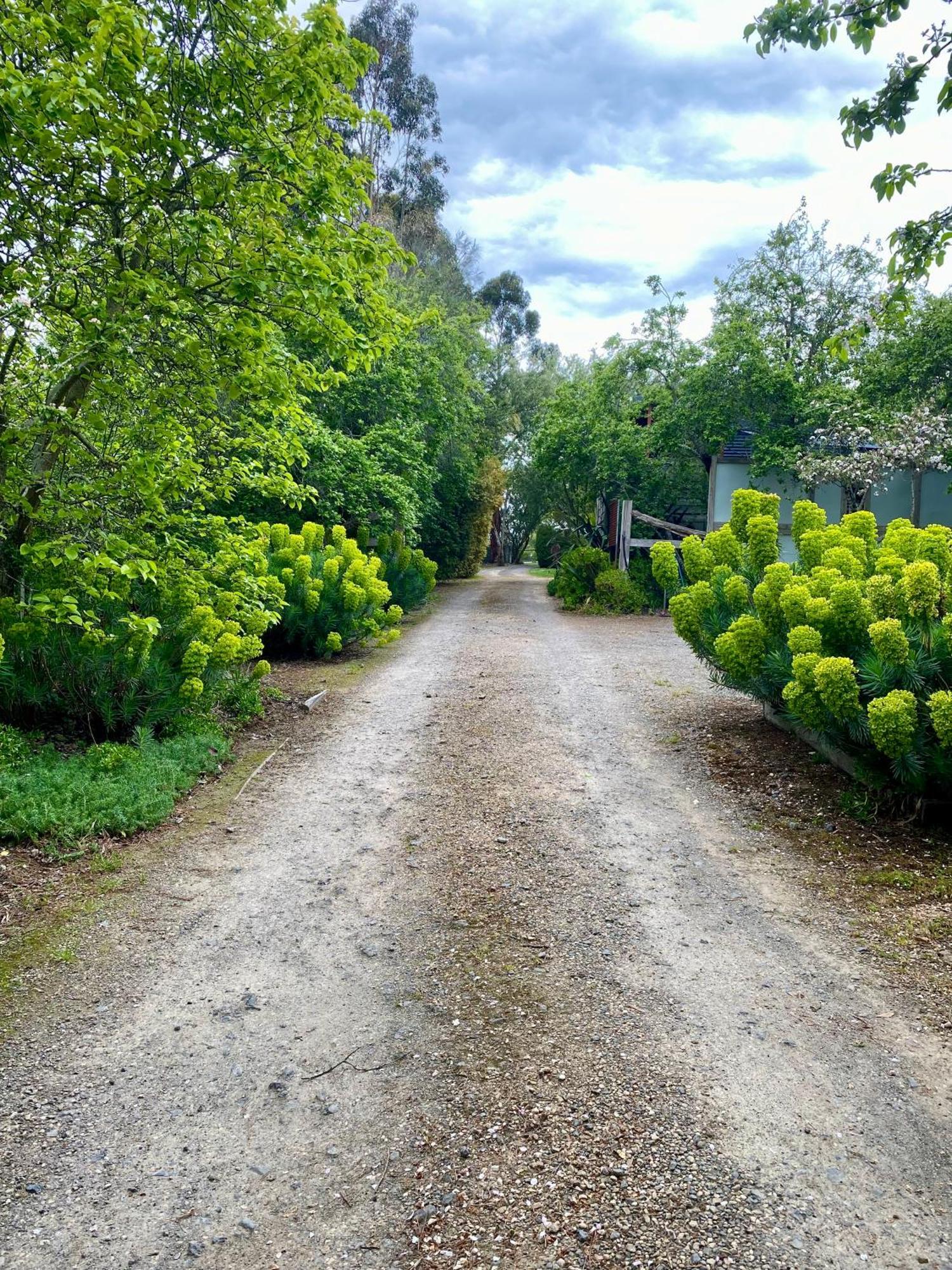 Sutton Spring Art Retreats Appartement Daylesford Buitenkant foto