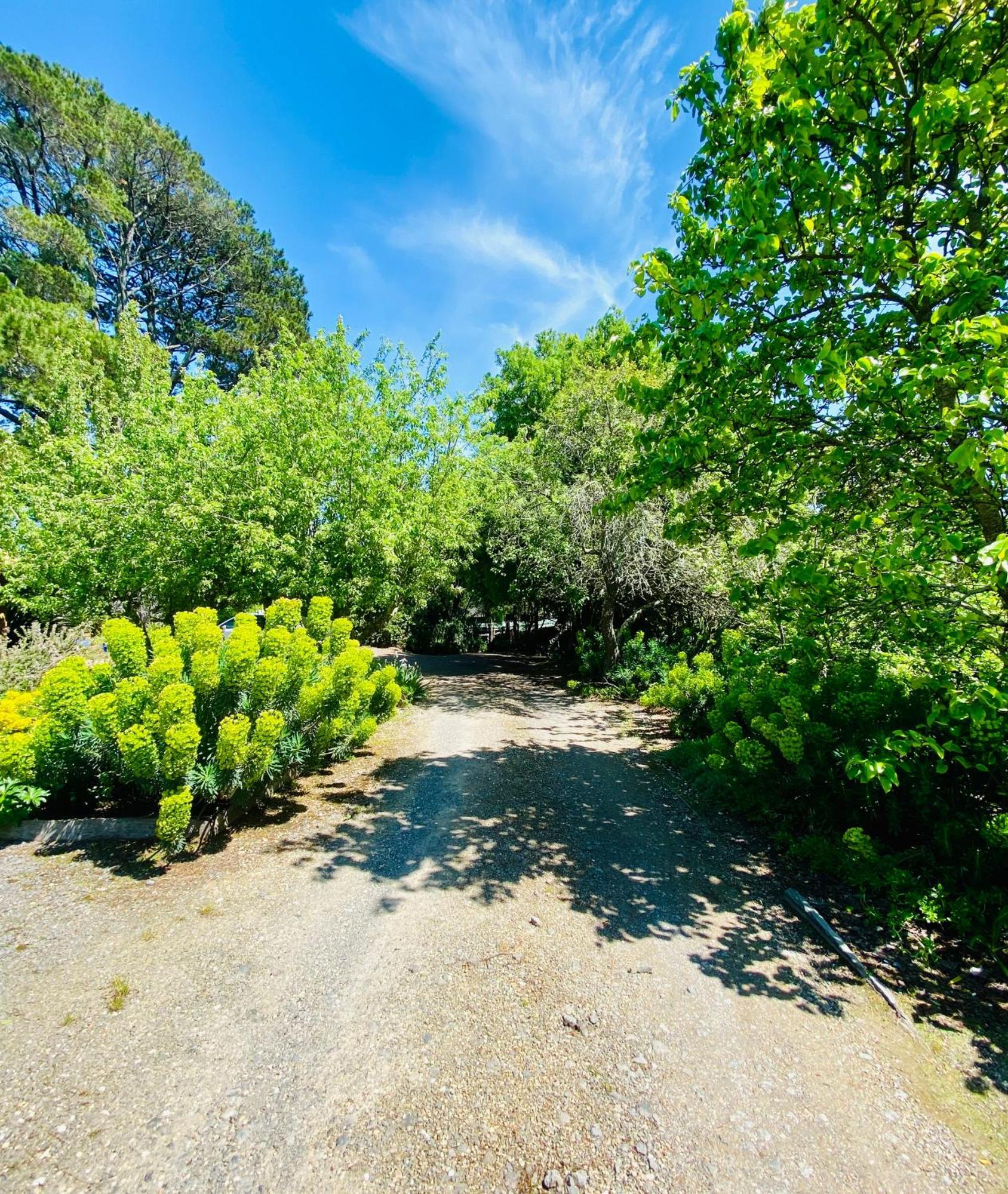 Sutton Spring Art Retreats Appartement Daylesford Buitenkant foto